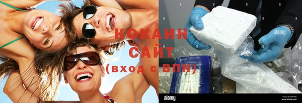 крисы Алзамай