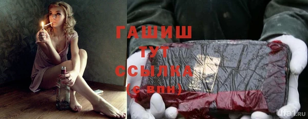 крисы Алзамай