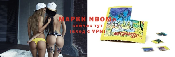 крисы Алзамай