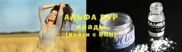 крисы Алзамай