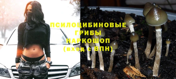 крисы Алзамай