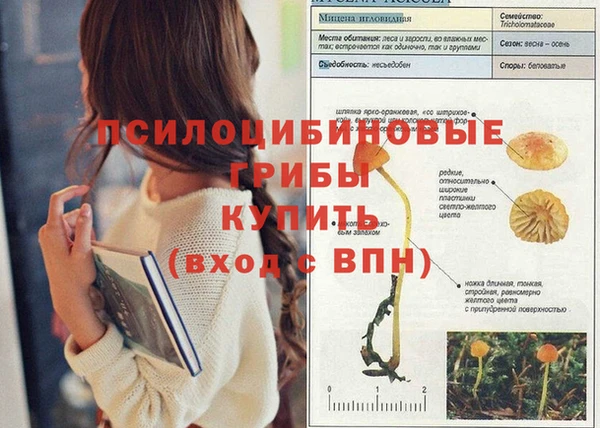 бошки Алексин