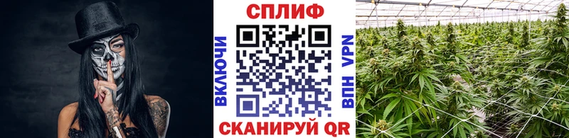 купить наркоту Анапа Марихуана индика